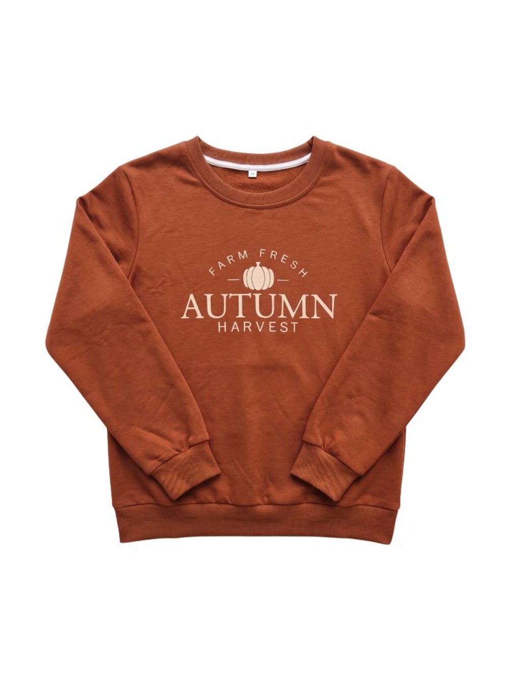 NWOT | Burnt Orange Farm Fresh Autumn Harvest Pumpkin Fall Sweatshirt | Medium